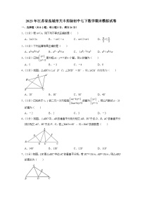 江苏省盐城市大丰实验初中2022--2023学年七年级下学期数学期末模拟试卷（含答案）