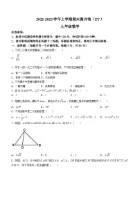 河南省周口市项城市2022-2023学年九年级上学期期末数学试题（含答案）