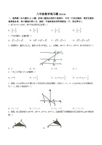 山东省泰安市岱岳区2022-2023学年八年级下学期期末数学试题（含答案）