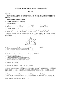 河南省南阳市新野县2022-2023学年八年级上学期期末数学试题（含答案）