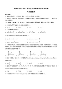 河南省信阳市商城县2022-2023学年八年级下学期期末数学试题（含答案）