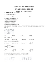 海南省省直辖县级行政单位文昌市2022-2023学年七年级下学期期末数学试题（含答案）