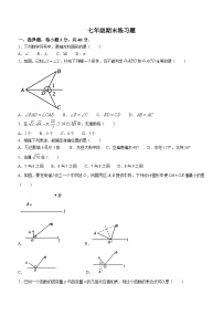 山东省泰安市岱岳区2022-2023学年七年级上学期期末数学试题（含答案）