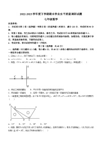 山东省临沂市河东区2022-2023学年七年级下学期期末数学试题（含答案）