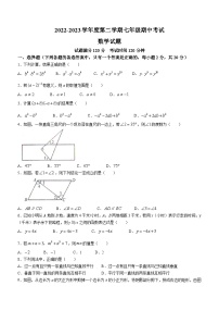 辽宁省沈阳市法库县2022-2023学年七年级下学期期中数学试题（含答案）