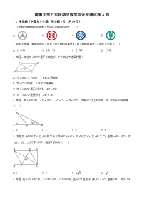 湖南省郴州市永兴县树德初级中学2022-2023学年八年级下学期期中数学试题（含答案）