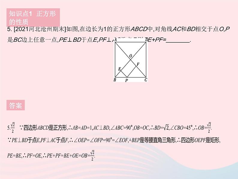 2023八年级数学下册第二十二章四边形22.6正方形作业课件新版冀教版第7页