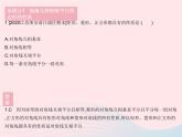 2023八年級(jí)數(shù)學(xué)下冊(cè)第19章矩形菱形與正方形易錯(cuò)疑難集訓(xùn)作業(yè)課件新版華東師大版