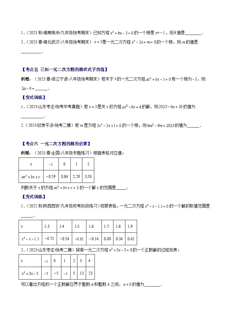 专题05 一元二次方程的定义及方程的解压轴题六种模型全攻略-【常考压轴题】2023-2024学年九年级数学上册压轴题攻略(湘教版）03