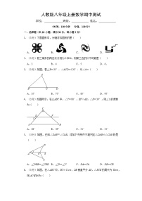 人教版数学八年级上册期中测试卷(二）附答案