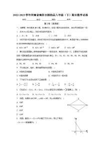 河南省南阳市桐柏县2022-2023学年八年级下学期期末数学试卷（含答案）