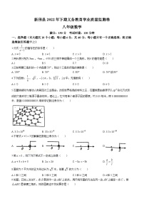 湖南省永州市新田县2022-2023学年八年级上学期期末数学试题（含答案）