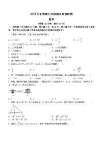 湖南省娄底市涟源市2022-2023学年九年级上学期期末数学试题（含答案）