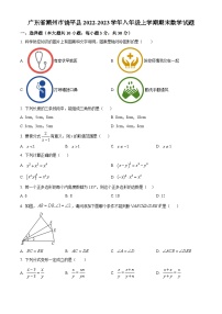 人教版·广东省潮州市饶平县2022-2023学年八年级上学期期末数学试题