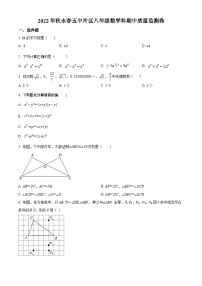 华师版·福建省泉州市永春县第五中学片区2022-2023学年八上期中质量监测数学