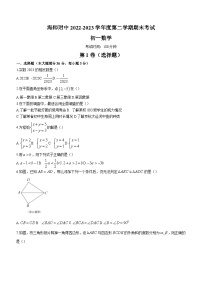 海南省海口市美兰区海南师范大学附属中学2022-2023学年七年级下学期期末数学试题（含答案）