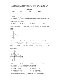 初中数学北师大版九年级上册1 反比例函数当堂达标检测题