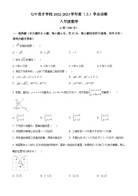 北师版·四川省成都市锦江区成都七中育才学校初中八年级期末数学测试题