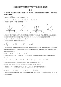 广东省阳江市江城区2022-2023学年八年级下学期期末质量监测数学试卷(含答案)