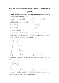 山东省泰安市肥城市2022-2023学年八年级下学期期末考试数学试题（五四学制）（含答案）