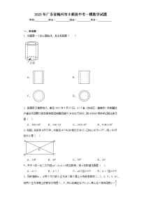 2023年广东省梅州市丰顺县中考一模数学试题（含解析）