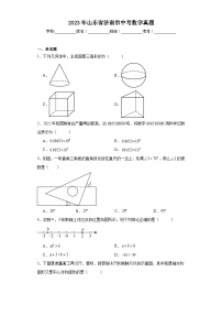 2023年山东省济南市中考数学真题（含解析）