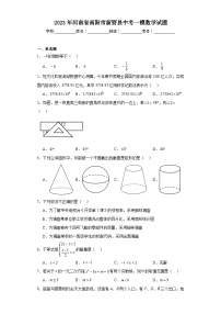 2023年河南省南阳市新野县中考一模数学试题（含解析）