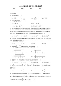 2023年湖南省娄底市中考数学真题（含解析）