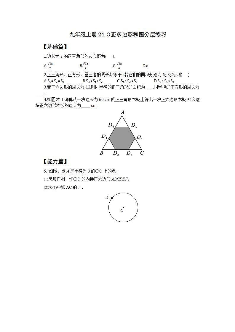 24.3 正多边形和圆  课件+教案+分层练习+预习案01