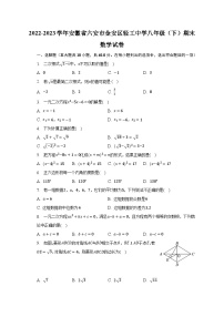 2022-2023学年安徽省六安市金安区轻工中学八年级（下）期末数学试卷（含解析）