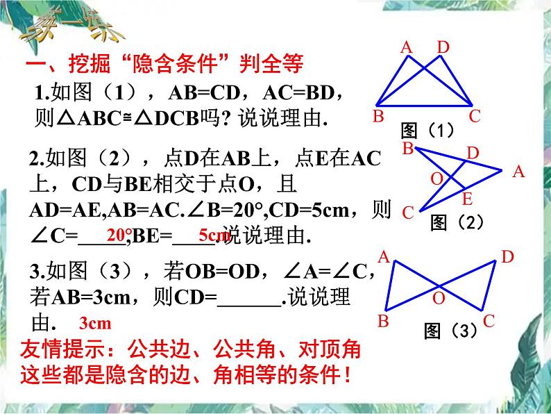 第12章 全等三角形复习课 人教版八年级数学上册课件第6页