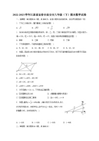 2022-2023学年江西省宜春市高安市八年级（下）期末数学试卷（含解析）