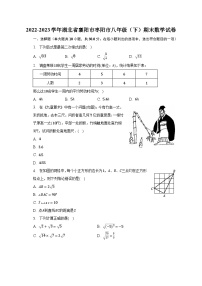 2022-2023学年湖北省襄阳市枣阳市八年级（下）期末数学试卷（含解析）