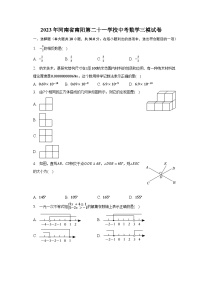 2023年河南省南阳第二十一学校中考数学三模试卷（含解析）