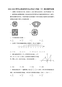 2022-2023学年山东省枣庄市山亭区八年级（下）期末数学试卷（含解析）