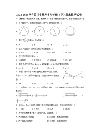 2022-2023学年四川省达州市八年级（下）期末数学试卷（含解析）