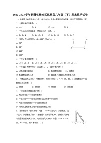 2022-2023学年新疆喀什地区巴楚县八年级（下）期末数学试卷（含解析）