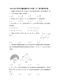 2022-2023学年安徽省滁州市八年级（下）期末数学试卷（含解析）