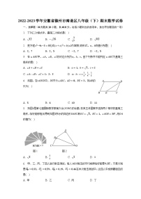 2022-2023学年安徽省滁州市南谯区八年级（下）期末数学试卷（含解析）