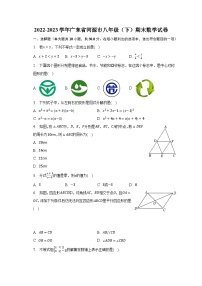 2022-2023学年广东省河源市八年级（下）期末数学试卷（含解析）