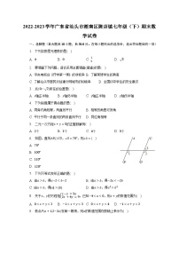 2022-2023学年广东省汕头市潮南区陈店镇七年级（下）期末数学试卷（含解析）