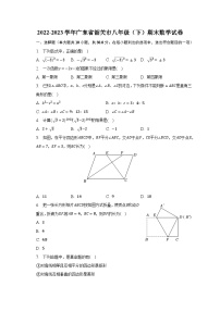 2022-2023学年广东省韶关市八年级（下）期末数学试卷（含解析）