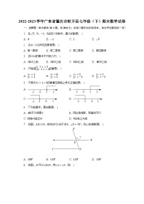 2022-2023学年广东省肇庆市封开县七年级（下）期末数学试卷（含解析）