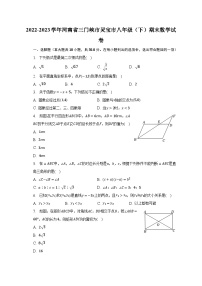 2022-2023学年河南省三门峡市灵宝市八年级（下）期末数学试卷（含解析）