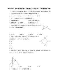 2022-2023学年湖南省怀化市鹤城区八年级（下）期末数学试卷（含解析）