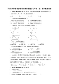 2022-2023学年吉林省白城市通榆县七年级（下）期末数学试卷（含解析）