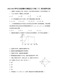 2022-2023学年江西省赣州市赣县区八年级（下）期末数学试卷（含解析）