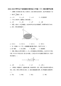 2022-2023学年辽宁省抚顺市望花区八年级（下）期末数学试卷（含解析）