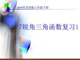 第七章銳角三角函數(shù)小結(jié)與復習課件