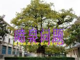 5.5用二次函數(shù)解決問題(3)課件PPT